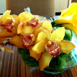 Yellow orchids arranged in a low glass bowl centerpiece