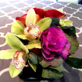 Compact floral arrangement with orchids and a magenta cabbage rose in a black vase