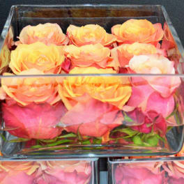 Pink and peach roses arranged in clear square glass boxes