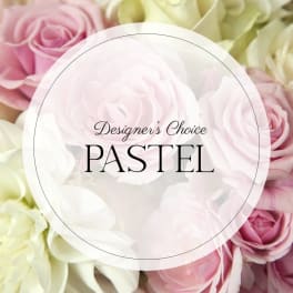 Designer's Choice Pastel