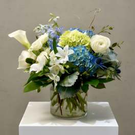White&Blues