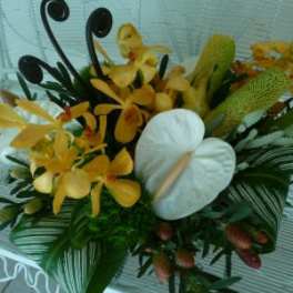 Low tropical arrangement with yellow orchids and white anthuriums among bold green foliage.