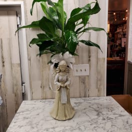 Potted green plant with a white ribbon on a decorative angel figurine base