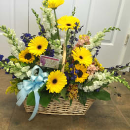 Basket arrangement with yellow gerbera daisies and blue ribbon