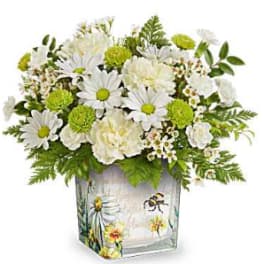 White daisies and green pom flowers in a painted glass vase