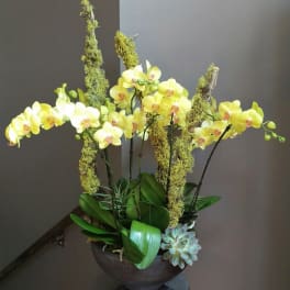 Yellow orchids arranged in a dark bowl with moss-covered branches and a succulent