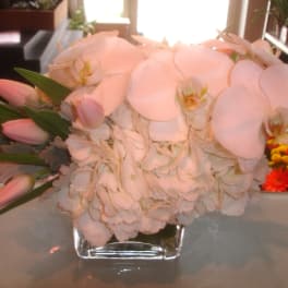 White orchid and pink lily bouquet in a square glass vase