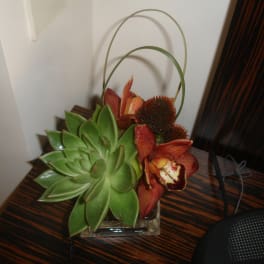 Succulent and orange orchid arrangement in a square glass vase