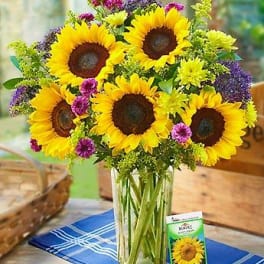 Bouquet of sunflowers and purple flowers in a glass vase