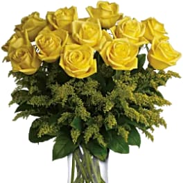 Bright Yellow Roses