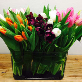 Mixed tulips arranged in a rectangular glass vase