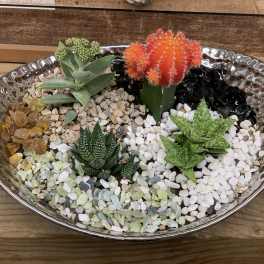 Succulent arrangement in a shallow silver bowl with colorful decorative stones