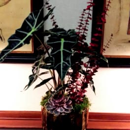 Potted arrangement with dark leaves, burgundy stems, and a purple succulent in a gold vase