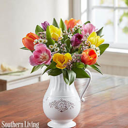 Colorful tulips arranged in a white pitcher vase