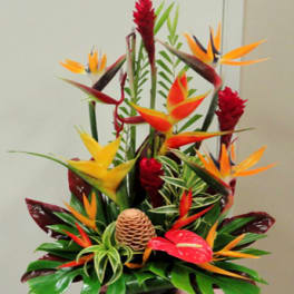 Tropical bouquet with orange bird-of-paradise flowers and red ginger blooms