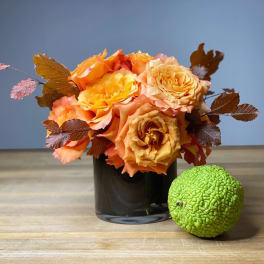 Orange roses in a black vase with brown leaves and a green osage orange fruit