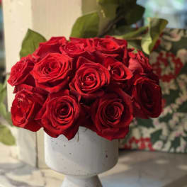 Red roses arranged in a white pedestal vase