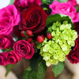 Bouquet of pink and red roses with green hydrangeas