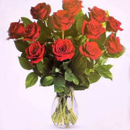 12 Red Roses arranged in a glass vase