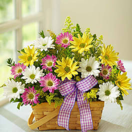 Basket of pink, white, and yellow daisies with a purple ribbon