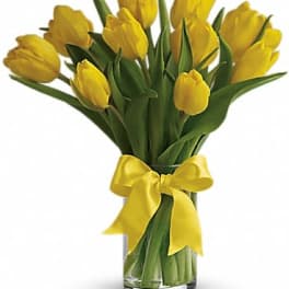 Sunny Yellow Tulips