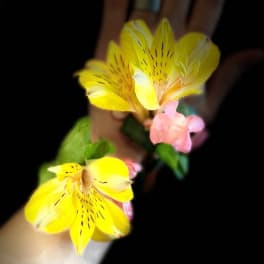 Yellow and pink flowers held in a hand