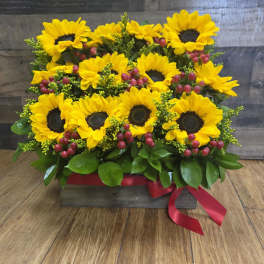 Sunflower arrangement in a rectangular box with red ribbon