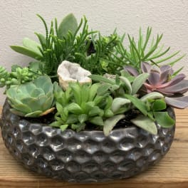 Succulent arrangement in a textured dark ceramic bowl with a white geode accent