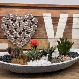 Succulent arrangement in a white oval bowl with decorative stones