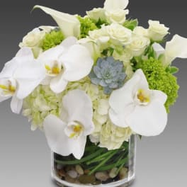 Low white orchid, rose, hydrangea and calla lily arrangement with succulent in a glass cylinder vase