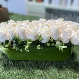 White roses arranged in a low green container