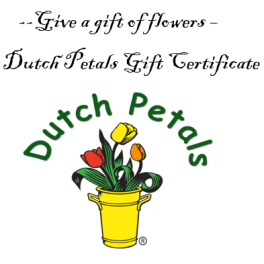 Dutch Petals gift certificate with tulip logo