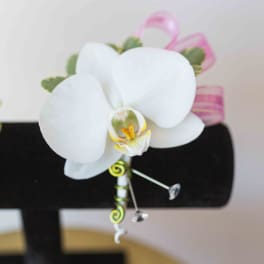 White orchid boutonniere with pink ribbon accents