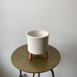 Speckled white ceramic planter on a small stand