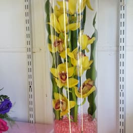 Tall yellow orchid arrangement in a clear cylinder with red ribbon and butterflies