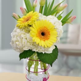 Yellow gerbera daisies, white hydrangeas, and pink tulips in a clear glass vase with pink wire and glass stones