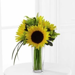 Tall clear vase of bright yellow sunflowers with green accents on a white table