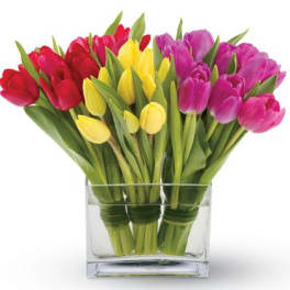 Arrangement of red, yellow, and pink tulips in a clear rectangular glass vase