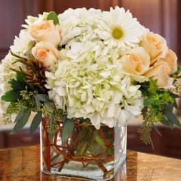 Short arrangement of white hydrangeas, cream roses, and a white gerbera in a glass cube vase