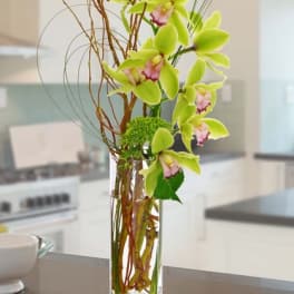 Tall arrangement of green cymbidium orchids with branches in a clear glass cylinder vase on a kitchen counter