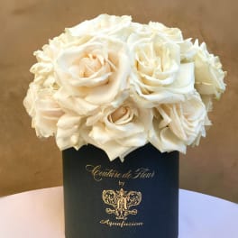 White roses arranged in a black cylindrical box