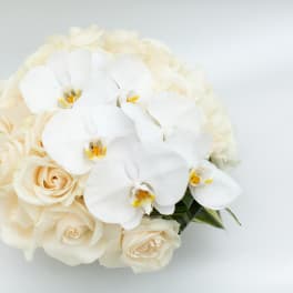 White orchids and cream roses in a compact bouquet