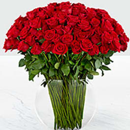 Large bouquet of red roses in a clear glass vase