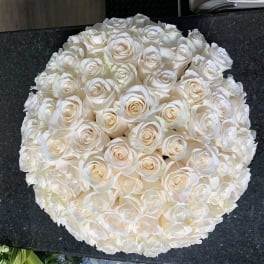 Round bouquet of white roses with a few cream-tinted blooms