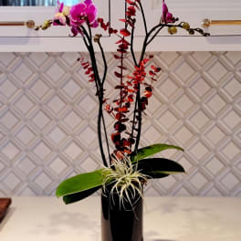 Orchid arrangement in a black vase with red and purple blooms