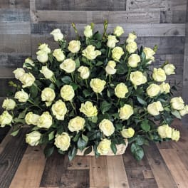 Large fan-shaped arrangement of ivory roses in a low wicker basket.