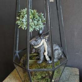Moss Bunny Terrarium