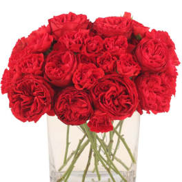 Red roses arranged in a clear glass vase