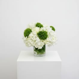 Simple Elegance Bouquet