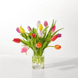 Spring's Calling Tulip Bouquet